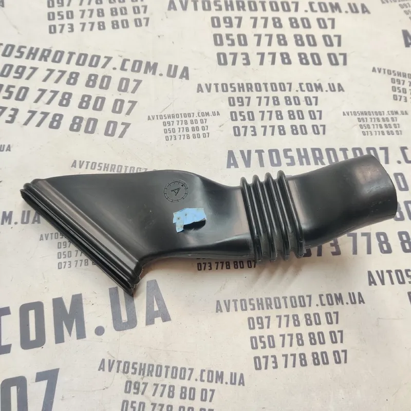 Патрубок повітряний Skoda Fabia 2 (07-14) OEM 5j0819348