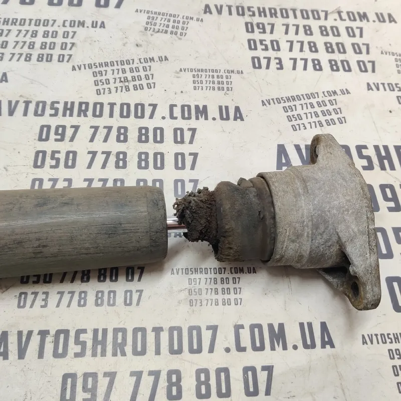Амортизатор Audi A6 C6 (04-11) 2.0 TDI OEM 21813r