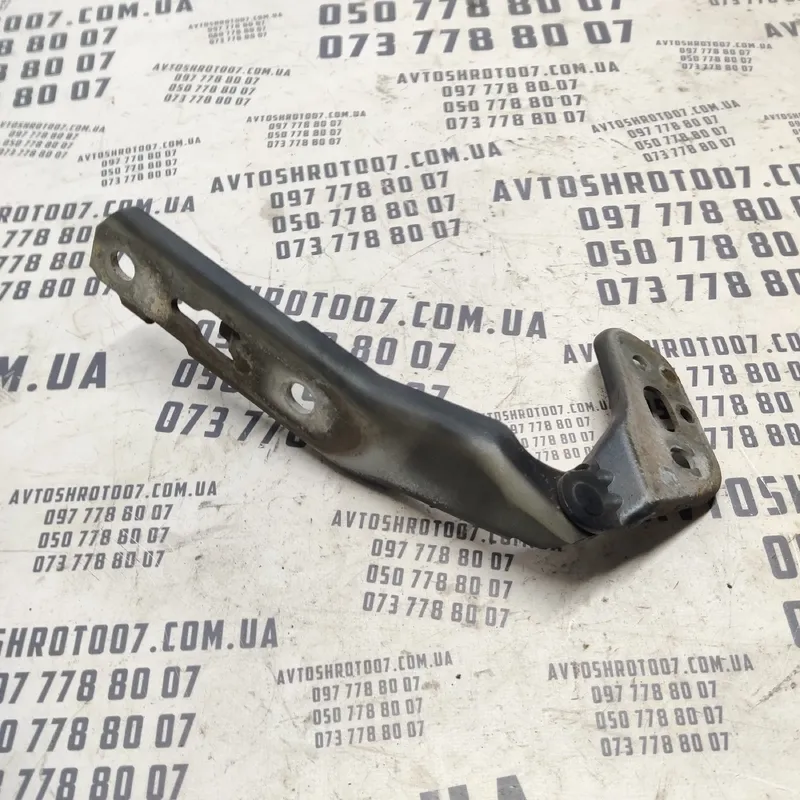 Петля капоту Audi A6 C6 (04-11) 2.0 TDI права