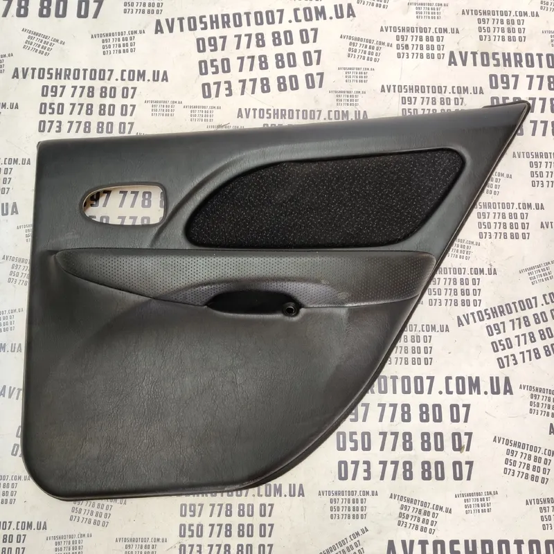 Карта дверна Hyundai Sonata IV (98-05) 2.0 Бенз Задня права