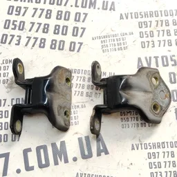 Дверна завіса Hyundai Sonata IV (98-05) 2.0 бенз. задня ліва