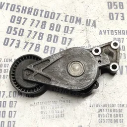 Ролик-натяжник ремня VW Bora (98-05) 1.9 TDI OEM 03722010001 фото 2