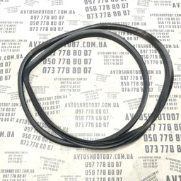 Ущільнювач дверей ВАЗ Kalina (04-13) 1.4 16V передній лівий