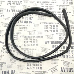 Дверний ущільнювач Dacia Logan (04-12) 1.6 бенз пер. правий фото 2