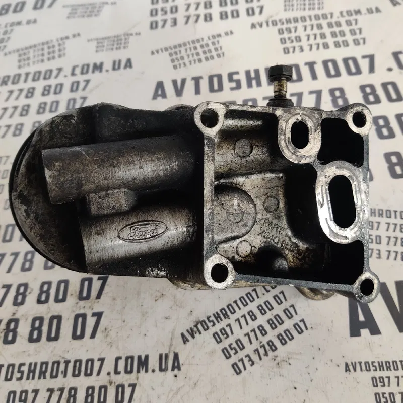 Радіатор масляний Ford Focus MK1 98-04 1.8D OEM xs4q6l686ac