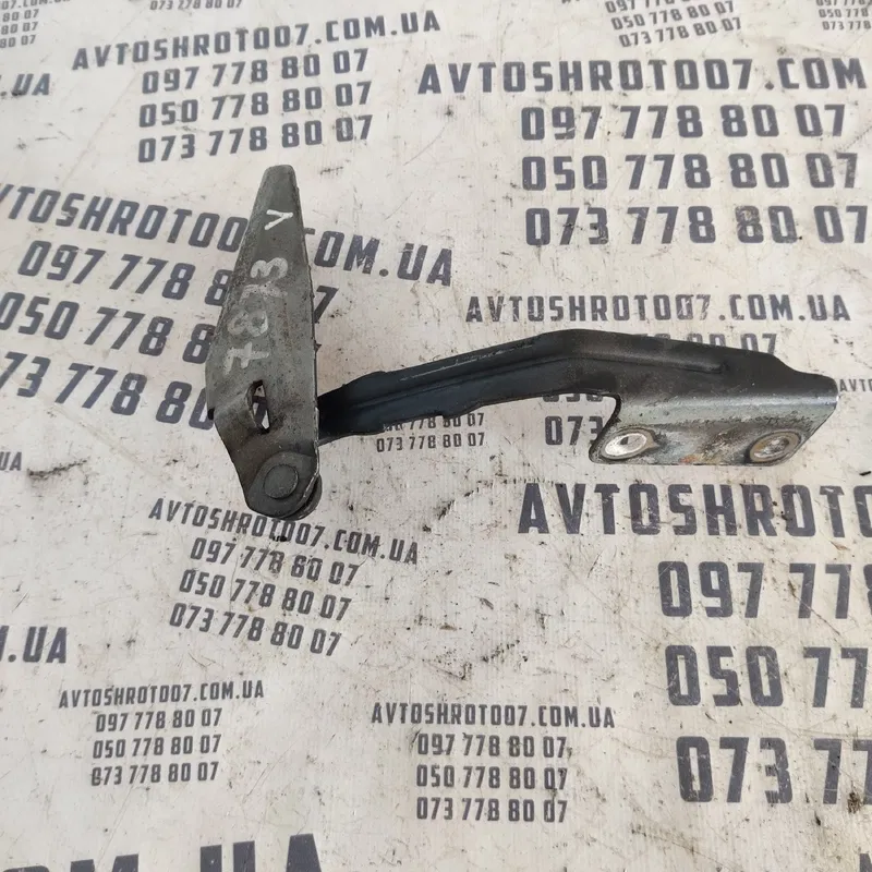Петля капота Ford Focus MK1 (98-04) ліва OEM XS4116801AF
