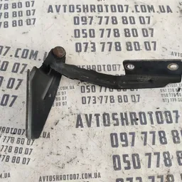 Петля капота Ford Focus MK1 (98-04) ліва OEM XS4116801AF
