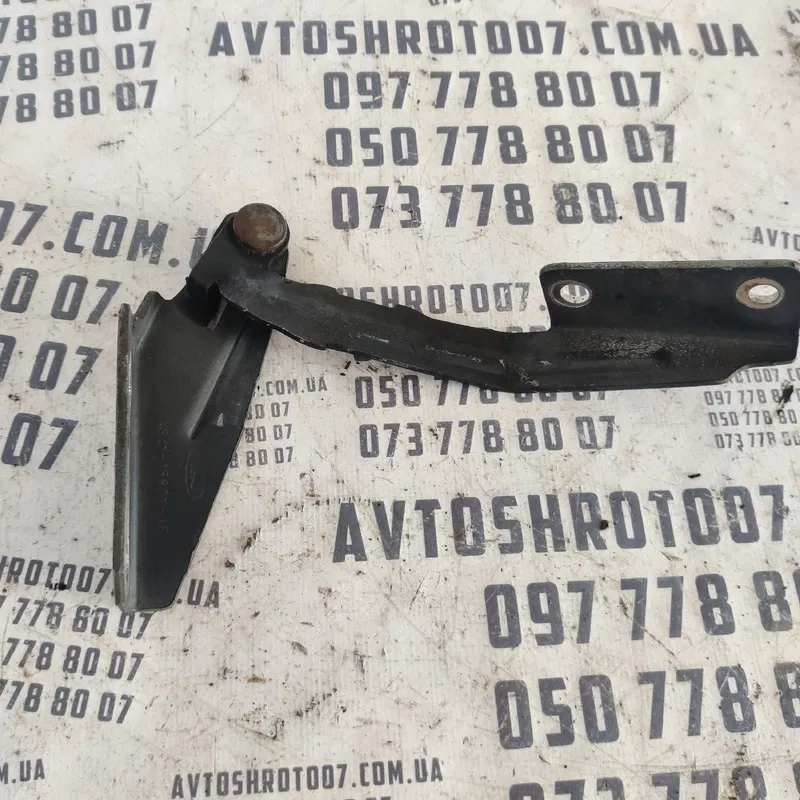 Петля капота Ford Focus MK1 (98-04) ліва OEM XS4116801AF
