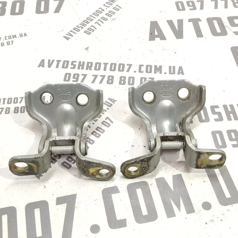 Дверна завіса Kia Sorento 1 (02-09) 2.5 CRDi задня права