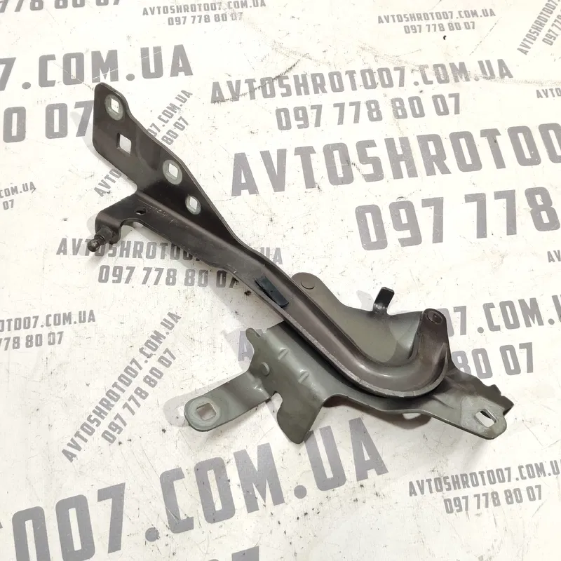 Петля капоту Renault Scenic 3 (09-16) 1.6d пр OEM 654000004r