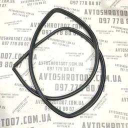 Ущільнювач дверей Toyota Auris 07-12 1.6 Benz передній лівий