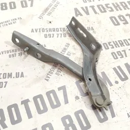 Петля капоту Peugeot 307 (01-08) 1.4 Бензин Права