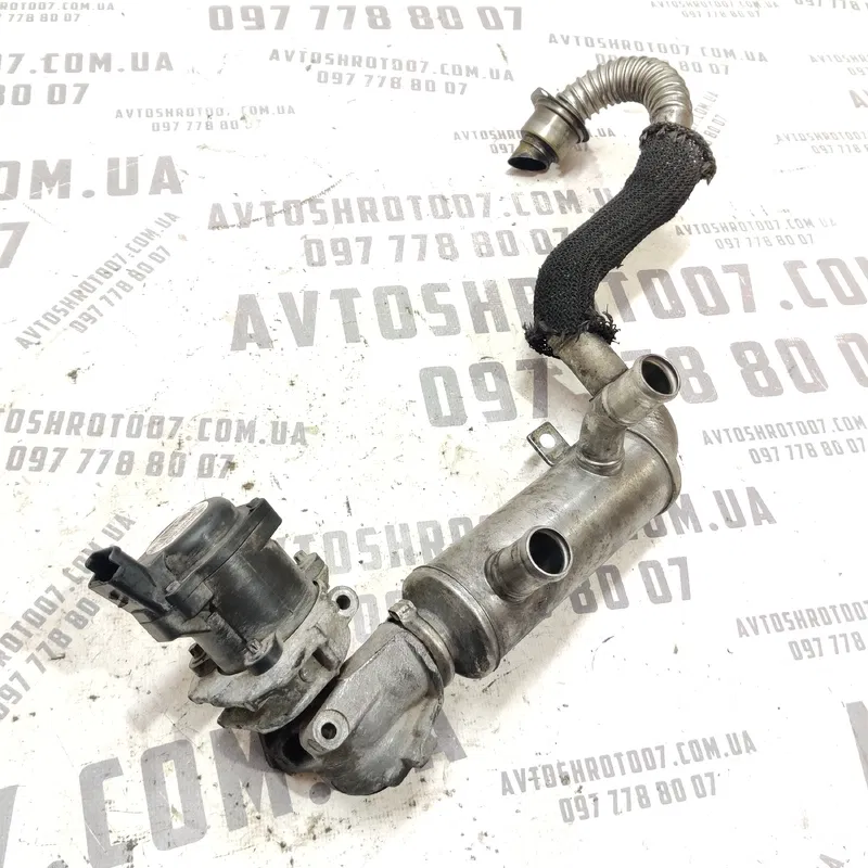 Радіатор ЕГР Ford Focus MK2 (04-11) 1.6 Дизель HHDA