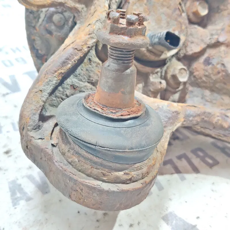 Цапфа задня права Toyota Avensis T25 (03-08) 2.0 дизель