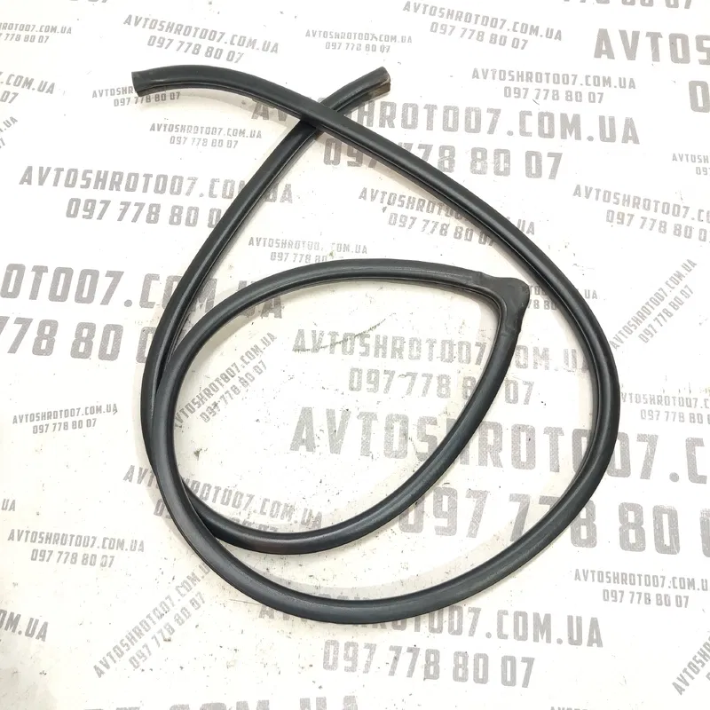 Ущільнювач дверей Toyota Avensis T25 03-08 2.0D перед лівий